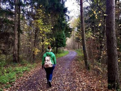 Zaberfeld - Die Vielfalt des Naturparks Stromberg erwandern